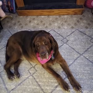 Meet your Posher, John